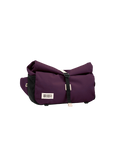Aubergine