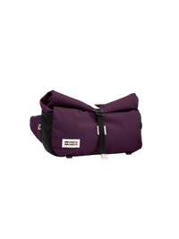 Aubergine