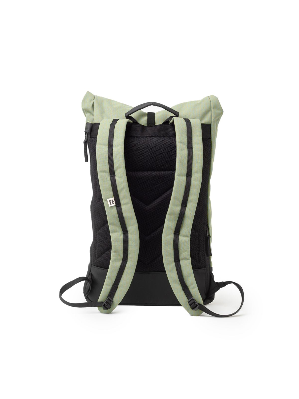 Cypress Green / Black