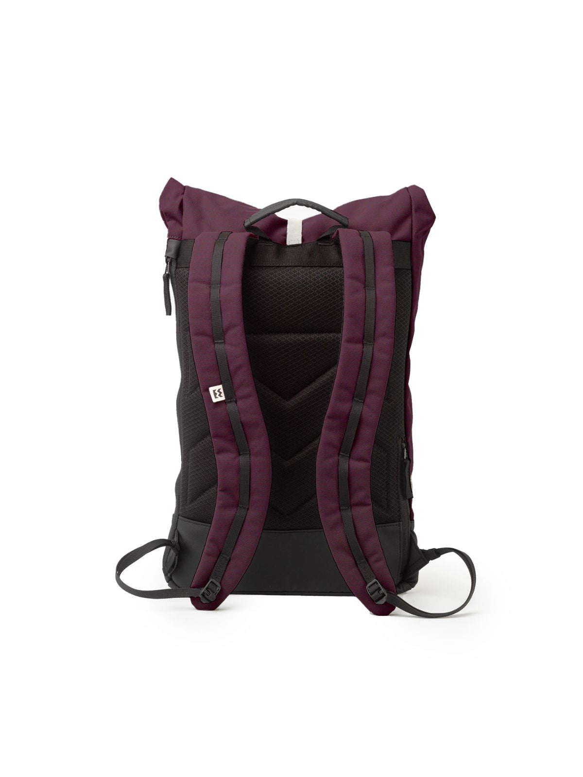 Aubergine / Cream