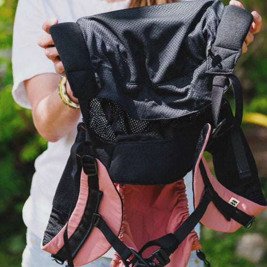 Blossom Pink / Black